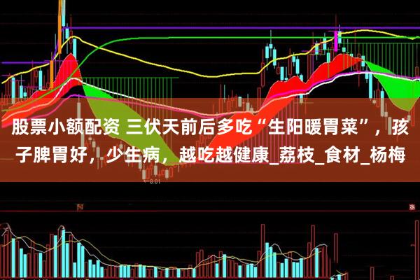 股票小额配资 三伏天前后多吃“生阳暖胃菜”，孩子脾胃好，少生病，越吃越健康_荔枝_食材_杨梅